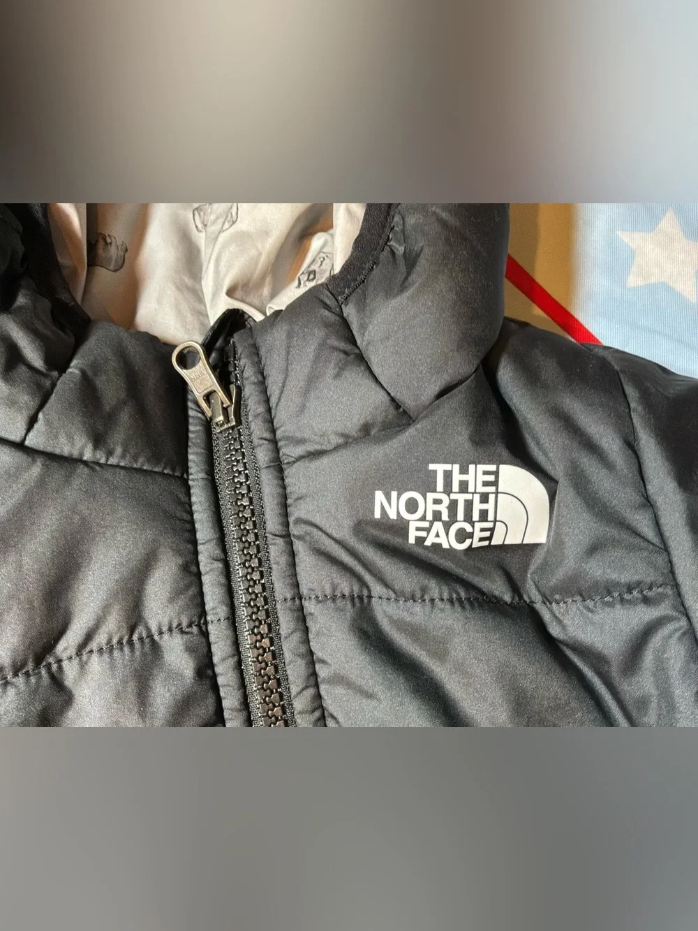 The North Face north face